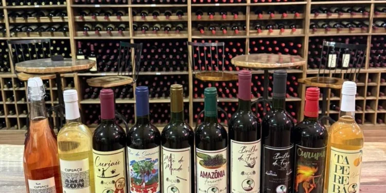 Vinho de Açaí: A Bebida Amazônica Que Conquista Paladares e Leva o Sabor do Brasil ao Mundo